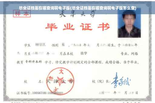 毕业证档案在哪查询啊电子版(毕业证档案在哪查询啊电子版怎么查)