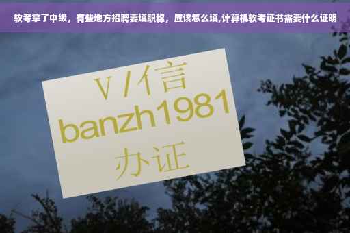 软考拿了中级，有些地方招聘要填职称，应该怎么填,计算机软考证书需要什么证明