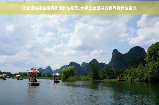 毕业证电子注册码代表什么意思,大学毕业证书的编号有什么含义
