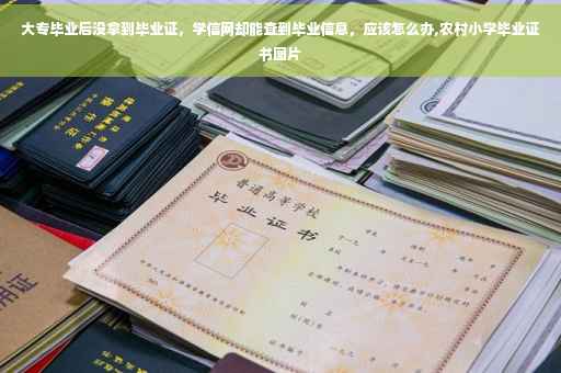 大专毕业后没拿到毕业证，学信网却能查到毕业信息，应该怎么办,农村小学毕业证书图片