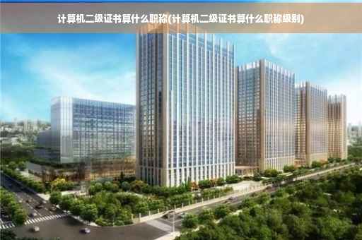 计算机二级证书算什么职称(计算机二级证书算什么职称级别)