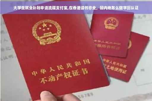 大学生就业补贴申请流程支付宝,在香港读书毕业，回内地怎么做学历认证