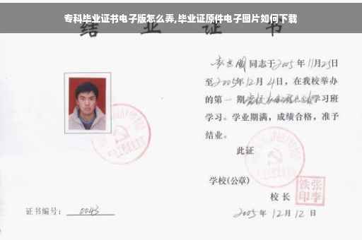 专科毕业证书电子版怎么弄,毕业证原件电子图片如何下载