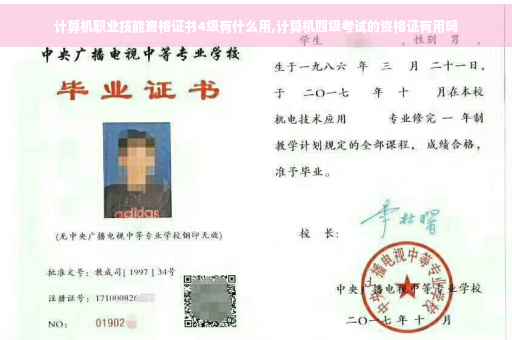 计算机职业技能资格证书4级有什么用,计算机四级考试的资格证有用吗