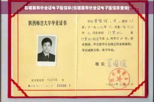 在哪里看毕业证电子版信息(在哪里看毕业证电子版信息查询)