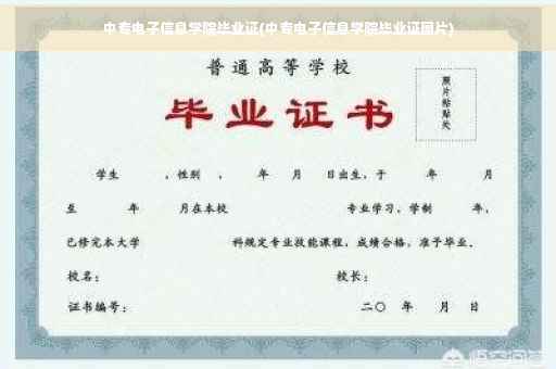 中专电子信息学院毕业证(中专电子信息学院毕业证图片)