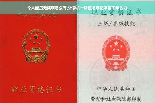个人履历无奖项怎么写,计算机一级证书忘记申请了怎么办