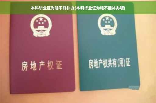 本科毕业证为啥不能补办(本科毕业证为啥不能补办呢)
