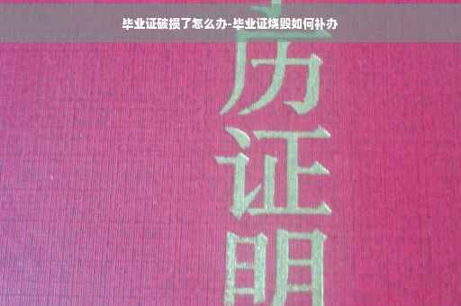 毕业证破损了怎么办-毕业证烧毁如何补办