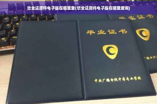 毕业证原件电子版在哪里查(毕业证原件电子版在哪里查询) 毕业证原件电子版在哪里查(毕业证原件电子版在哪里查询)