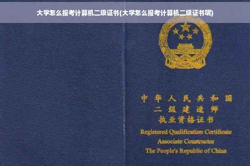 大学怎么报考计算机二级证书(大学怎么报考计算机二级证书呢)