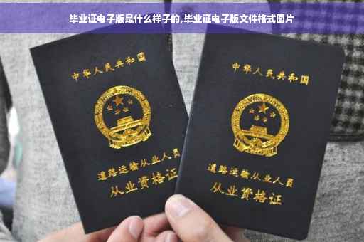 毕业证电子版是什么样子的,毕业证电子版文件格式图片