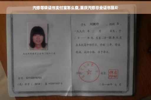 汽修等级证书支付宝怎么查,重庆汽修毕业证书图片