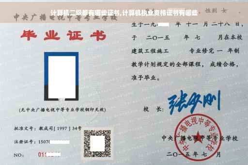 计算机二级都有哪些证书,计算机执业资格证书有哪些