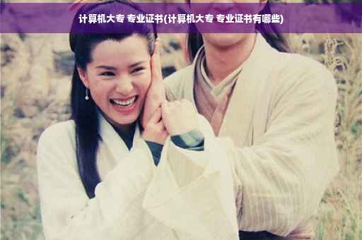 计算机大专 专业证书(计算机大专 专业证书有哪些)
