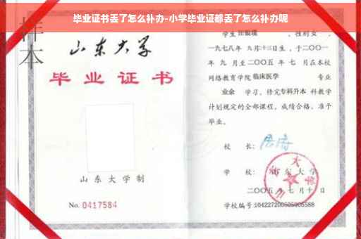 毕业证书丢了怎么补办-小学毕业证都丢了怎么补办呢