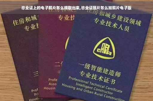 毕业证上的电子照片怎么提取出来,毕业证图片怎么加照片电子版