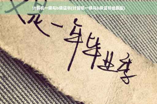 计算机一级与b级证书(计算机一级与b级证书纸质版)