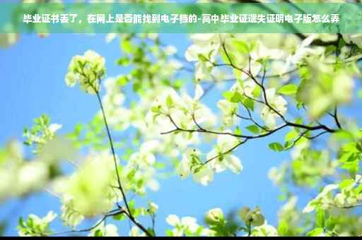 毕业证书丢了，在网上是否能找到电子档的-高中毕业证遗失证明电子版怎么弄