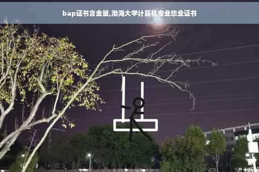 bap证书含金量,渤海大学计算机专业毕业证书