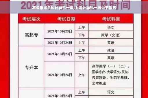 怎么报考全国计算机一级,上海计算机一级证书报名