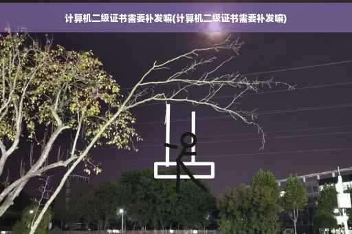 计算机二级证书需要补发嘛(计算机二级证书需要补发嘛)
