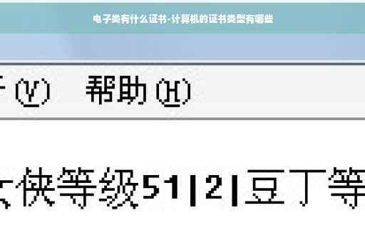 电子类有什么证书-计算机的证书类型有哪些