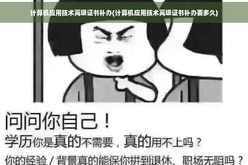 计算机应用技术高级证书补办(计算机应用技术高级证书补办要多久)