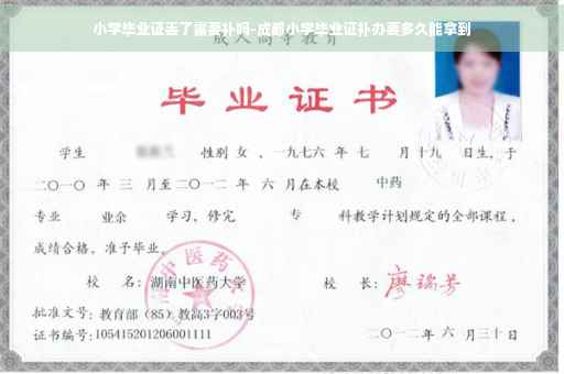 小学毕业证丢了需要补吗-成都小学毕业证补办要多久能拿到