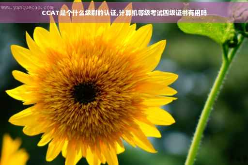 CCAT是个什么级别的认证,计算机等级考试四级证书有用吗