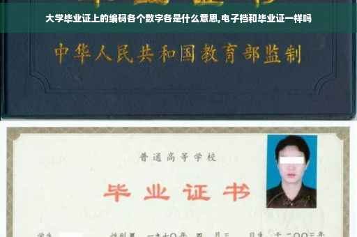 大学毕业证上的编码各个数字各是什么意思,电子档和毕业证一样吗