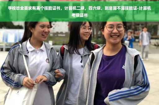 学校毕业要求有两个技能证书，计算机二级，四六级，到底算不算技能证-计算机考级证书