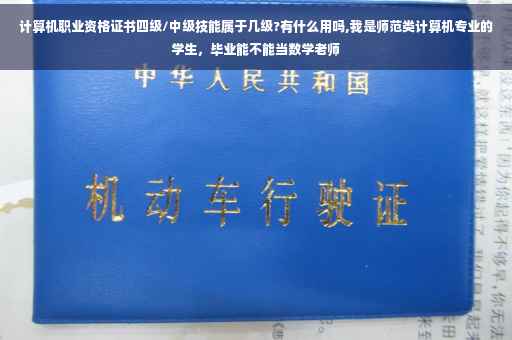 计算机职业资格证书四级/中级技能属于几级?有什么用吗,我是师范类计算机专业的学生，毕业能不能当数学老师