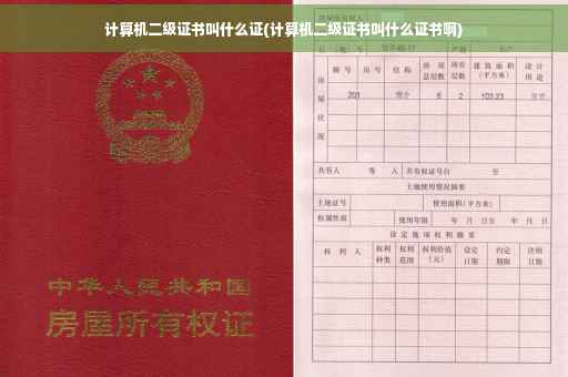 计算机二级证书叫什么证(计算机二级证书叫什么证书啊)