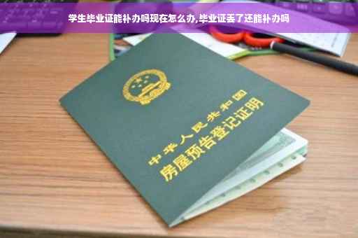 学生毕业证能补办吗现在怎么办,毕业证丢了还能补办吗