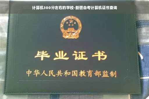 计算机300分左右的学校-新疆自考计算机证书查询
