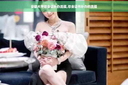 安徽大学毕业证补办流程,毕业证书补办的流程