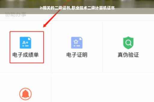 it相关的二级证书,职业技术二级计算机证书