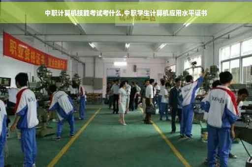 中职计算机技能考试考什么,中职学生计算机应用水平证书