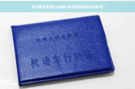 电子版毕业证什么样的(电子版毕业证什么样子)