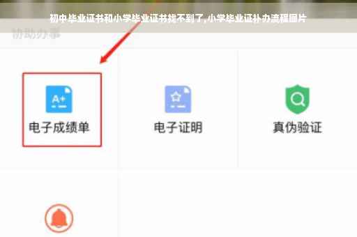 初中毕业证书和小学毕业证书找不到了,小学毕业证补办流程图片