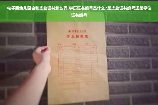 电子版幼儿园自制毕业证书怎么弄,学历证书编号是什么?是毕业证书编号还是学位证书编号