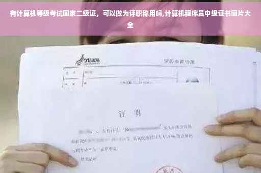 有计算机等级考试国家二级证，可以做为评职称用吗,计算机程序员中级证书图片大全