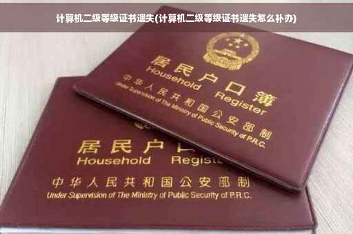 计算机二级等级证书遗失(计算机二级等级证书遗失怎么补办)
