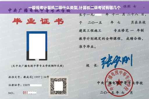 一般报考计算机二级什么类型,计算机二级考试有哪几个