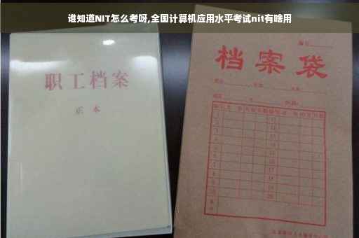 谁知道NIT怎么考呀,全国计算机应用水平考试nit有啥用