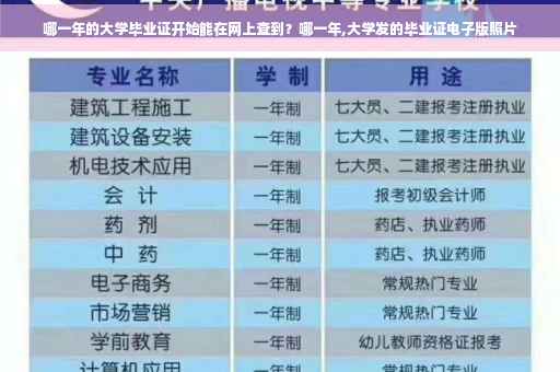 哪一年的大学毕业证开始能在网上查到？哪一年,大学发的毕业证电子版照片