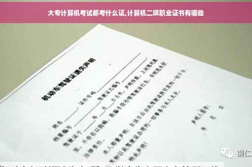 大专计算机考试都考什么证,计算机二级职业证书有哪些