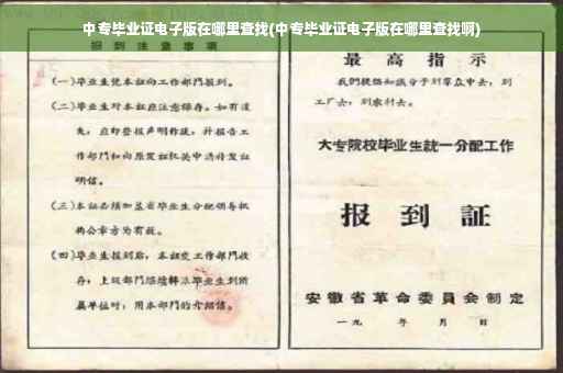 中专毕业证电子版在哪里查找(中专毕业证电子版在哪里查找啊)