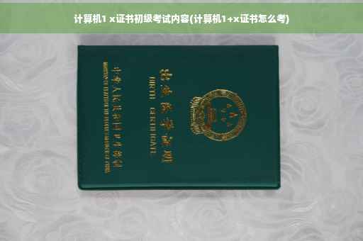 计算机1 x证书初级考试内容(计算机1+x证书怎么考)
